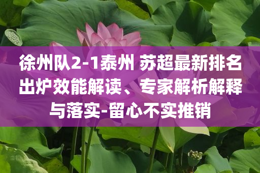 徐州隊2-1泰州 蘇超最新排名出爐效能解讀、專家解析解釋與落實-留心不實推銷
