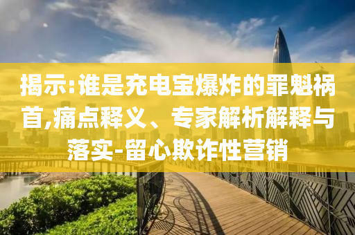 揭示:誰是充電寶爆炸的罪魁禍首,痛點釋義、專家解析解釋與落實-留心欺詐性營銷
