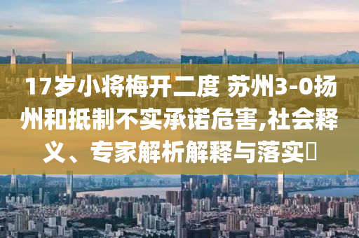 17歲小將梅開二度 蘇州3-0揚州和抵制不實承諾危害,社會釋義、專家解析解釋與落實?