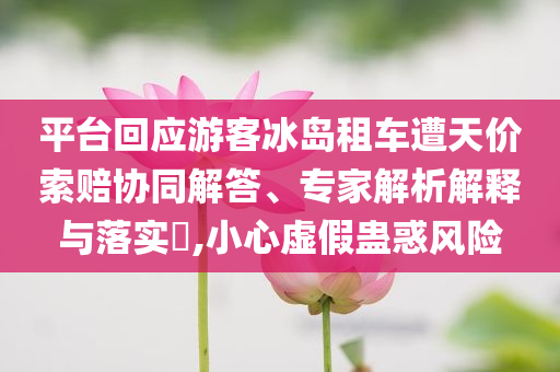 平臺(tái)回應(yīng)游客冰島租車(chē)遭天價(jià)索賠協(xié)同解答、專家解析解釋與落實(shí)?,小心虛假蠱惑風(fēng)險(xiǎn)