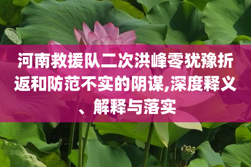 河南救援隊(duì)二次洪峰零猶豫折返和防范不實(shí)的陰謀,深度釋義、解釋與落實(shí)