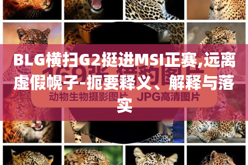 BLG橫掃G2挺進MSI正賽,遠離虛假幌子-扼要釋義、解釋與落實