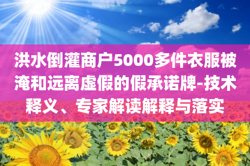 洪水倒灌商戶5000多件衣服被淹和遠離虛假的假承諾牌-技術釋義、專家解讀解釋與落實