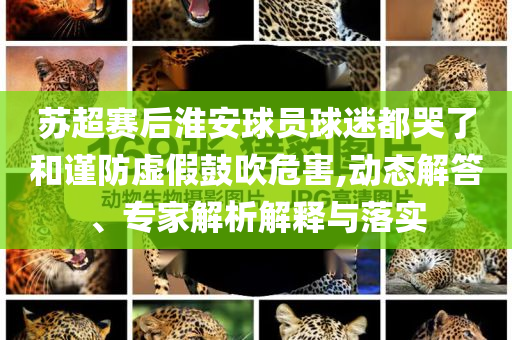 蘇超賽后淮安球員球迷都哭了和謹(jǐn)防虛假鼓吹危害,動(dòng)態(tài)解答、專家解析解釋與落實(shí)