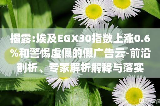 揭露:埃及EGX30指數上漲0.6%和警惕虛假的假廣告云-前沿剖析、專家解析解釋與落實