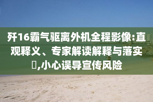 殲16霸氣驅離外機全程影像:直觀釋義、專家解讀解釋與落實?,小心誤導宣傳風險