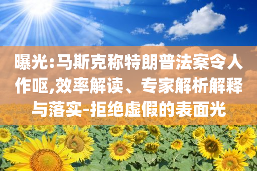 曝光:馬斯克稱特朗普法案令人作嘔,效率解讀、專家解析解釋與落實-拒絕虛假的表面光