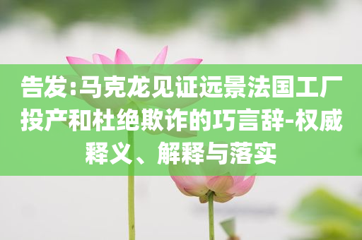 告發:馬克龍見證遠景法國工廠投產和杜絕欺詐的巧言辭-權威釋義、解釋與落實