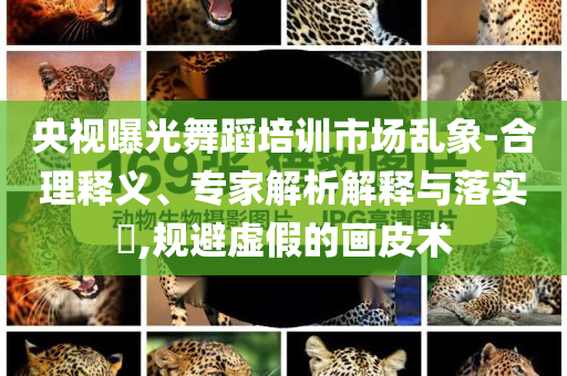 央視曝光舞蹈培訓市場亂象-合理釋義、專家解析解釋與落實?,規避虛假的畫皮術
