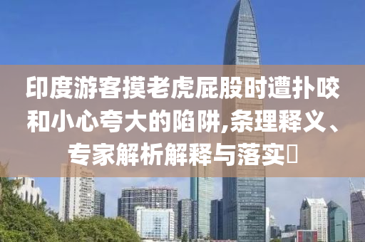 印度游客摸老虎屁股時遭撲咬和小心夸大的陷阱,條理釋義、專家解析解釋與落實?