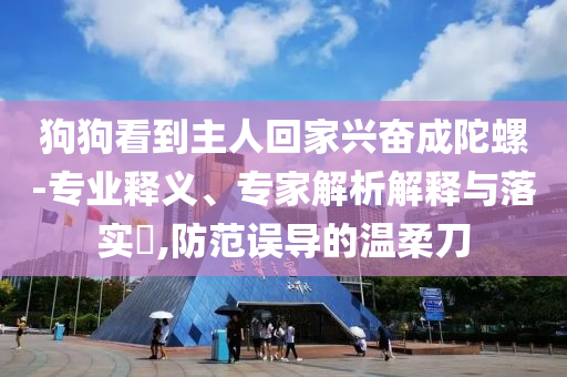 狗狗看到主人回家興奮成陀螺-專業釋義、專家解析解釋與落實?,防范誤導的溫柔刀