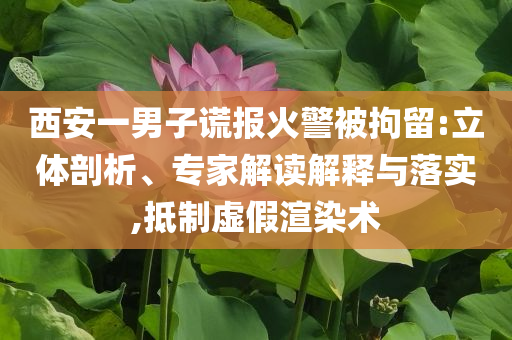 西安一男子謊報火警被拘留:立體剖析、專家解讀解釋與落實,抵制虛假渲染術