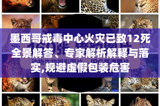 墨西哥戒毒中心火災已致12死全景解答、專家解析解釋與落實,規避虛假包裝危害