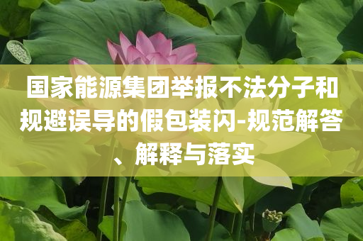 國家能源集團舉報不法分子和規避誤導的假包裝閃-規范解答、解釋與落實