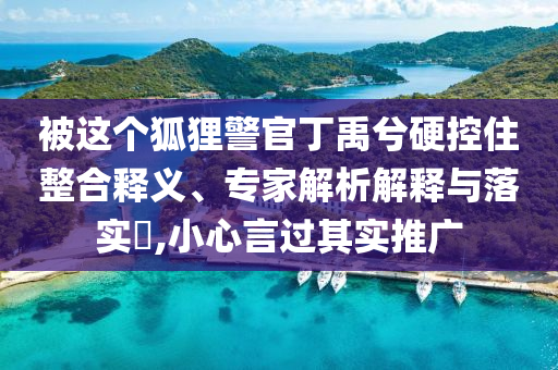 被這個狐貍警官丁禹兮硬控住整合釋義、專家解析解釋與落實?,小心言過其實推廣