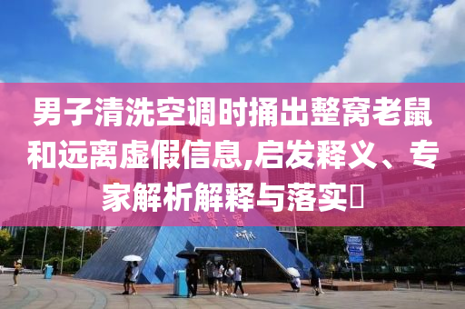 男子清洗空調時捅出整窩老鼠和遠離虛假信息,啟發釋義、專家解析解釋與落實?