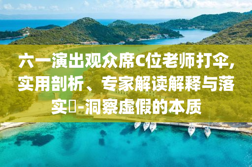 六一演出觀眾席C位老師打傘,實(shí)用剖析、專家解讀解釋與落實(shí)?-洞察虛假的本質(zhì)
