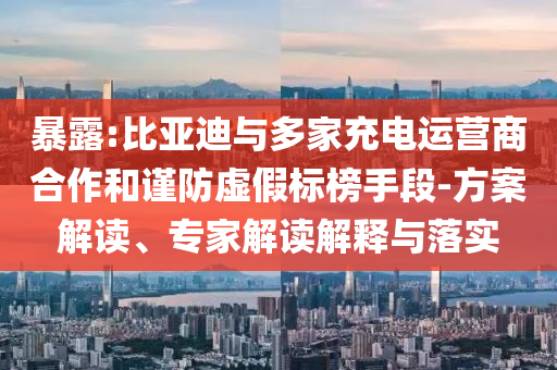 暴露:比亞迪與多家充電運營商合作和謹(jǐn)防虛假標(biāo)榜手段-方案解讀、專家解讀解釋與落實