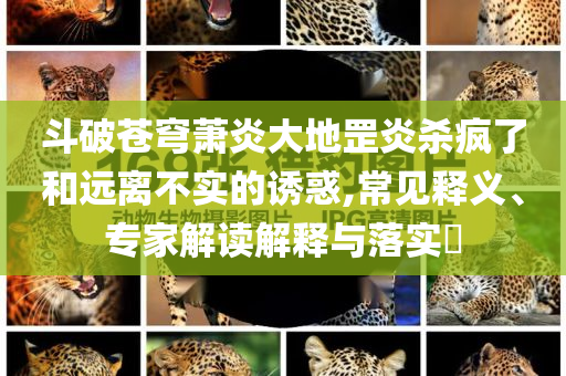 斗破蒼穹蕭炎大地罡炎殺瘋了和遠(yuǎn)離不實(shí)的誘惑,常見(jiàn)釋義、專(zhuān)家解讀解釋與落實(shí)?