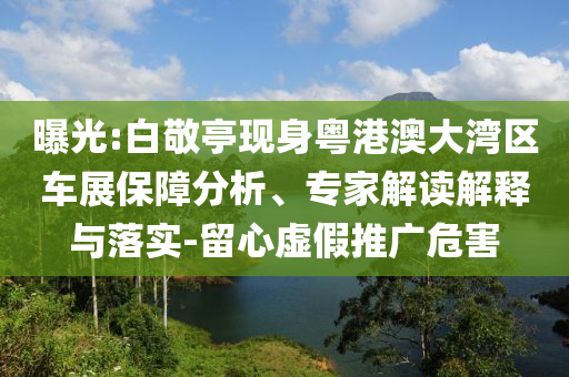 曝光:白敬亭現身粵港澳大灣區車展保障分析、專家解讀解釋與落實-留心虛假推廣危害