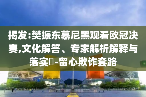 揭發:樊振東慕尼黑觀看歐冠決賽,文化解答、專家解析解釋與落實?-留心欺詐套路