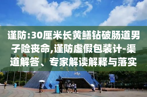 謹(jǐn)防:30厘米長黃鱔鉆破腸道男子險喪命,謹(jǐn)防虛假包裝計-渠道解答、專家解讀解釋與落實