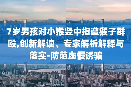 7歲男孩對小猴豎中指遭猴子群毆,創新解讀、專家解析解釋與落實-防范虛假誘騙