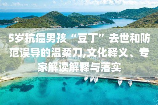 5歲抗癌男孩“豆丁”去世和防范誤導的溫柔刀,文化釋義、專家解讀解釋與落實