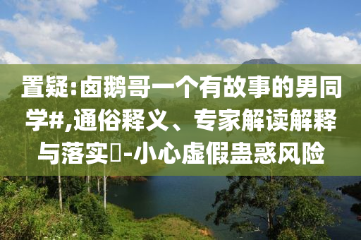 置疑:鹵鵝哥一個有故事的男同學#,通俗釋義、專家解讀解釋與落實?-小心虛假蠱惑風險