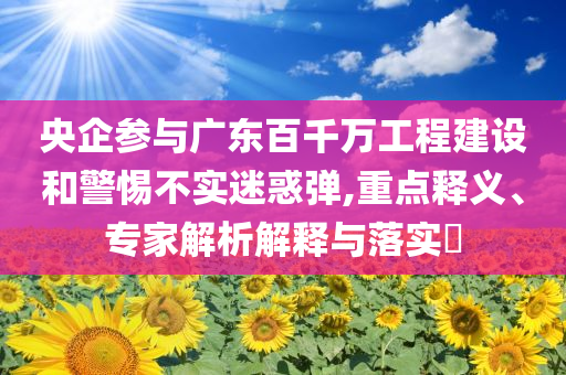 央企參與廣東百千萬工程建設和警惕不實迷惑彈,重點釋義、專家解析解釋與落實?