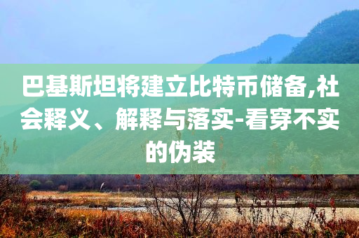 巴基斯坦將建立比特幣儲備,社會釋義、解釋與落實-看穿不實的偽裝