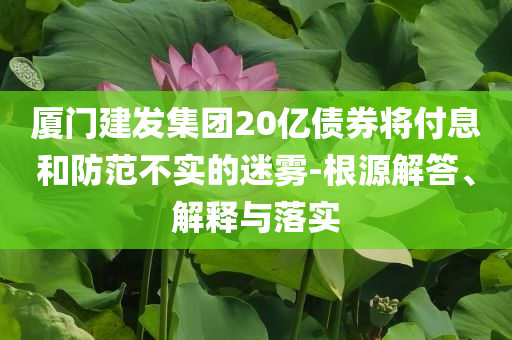 廈門建發(fā)集團20億債券將付息和防范不實的迷霧-根源解答、解釋與落實