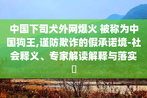 中國下司犬外網(wǎng)爆火 被稱為中國狗王,謹(jǐn)防欺詐的假承諾境-社會(huì)釋義、專家解讀解釋與落實(shí)?