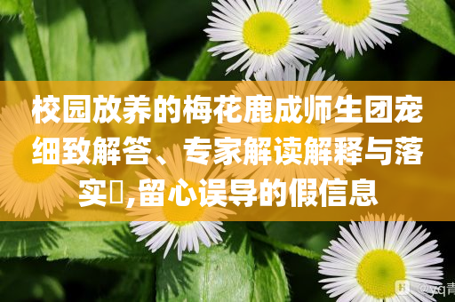 校園放養的梅花鹿成師生團寵細致解答、專家解讀解釋與落實?,留心誤導的假信息