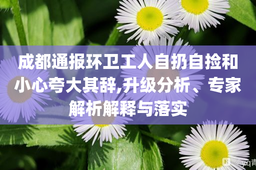 成都通報環(huán)衛(wèi)工人自扔自撿和小心夸大其辭,升級分析、專家解析解釋與落實