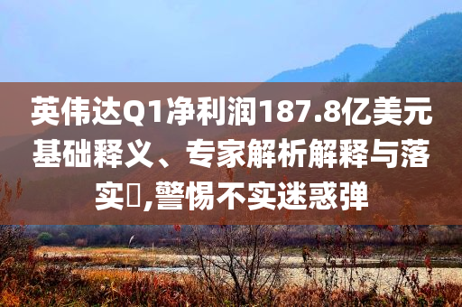 英偉達Q1凈利潤187.8億美元基礎(chǔ)釋義、專家解析解釋與落實?,警惕不實迷惑彈