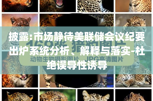 披露:市場靜待美聯(lián)儲會議紀要出爐系統(tǒng)分析、解釋與落實-杜絕誤導(dǎo)性誘導(dǎo)