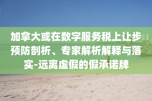 加拿大或在數(shù)字服務(wù)稅上讓步預(yù)防剖析、專家解析解釋與落實-遠離虛假的假承諾牌