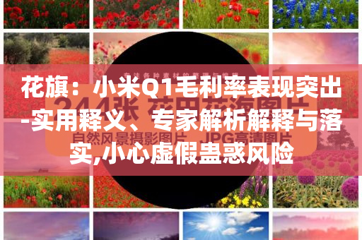 花旗：小米Q1毛利率表現(xiàn)突出-實用釋義、專家解析解釋與落實,小心虛假蠱惑風險