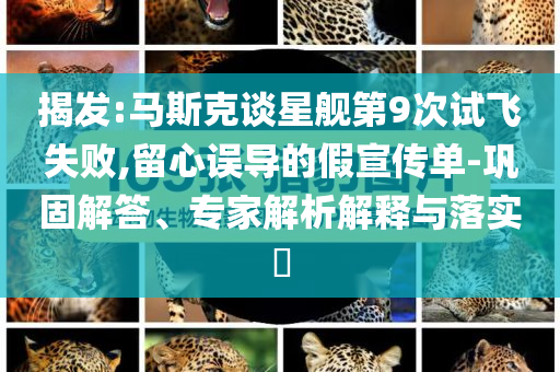 揭發:馬斯克談星艦第9次試飛失敗,留心誤導的假宣傳單-鞏固解答、專家解析解釋與落實?