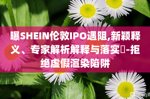曝SHEIN倫敦IPO遇阻,新穎釋義、專家解析解釋與落實?-拒絕虛假渲染陷阱