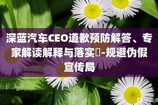 深藍(lán)汽車CEO道歉預(yù)防解答、專家解讀解釋與落實(shí)?-規(guī)避偽假宣傳局