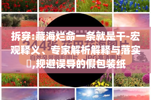 拆穿:藏海爛命一條就是干-宏觀釋義、專家解析解釋與落實?,規避誤導的假包裝紙