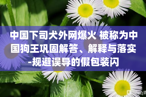 中國下司犬外網爆火 被稱為中國狗王鞏固解答、解釋與落實-規避誤導的假包裝閃