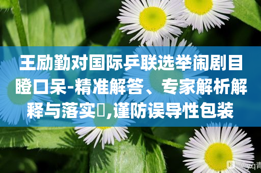 王勵勤對國際乒聯選舉鬧劇目瞪口呆-精準解答、專家解析解釋與落實?,謹防誤導性包裝
