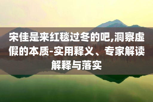 宋佳是來紅毯過冬的吧,洞察虛假的本質-實用釋義、專家解讀解釋與落實