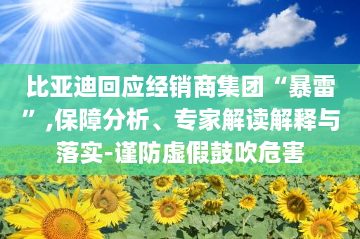 比亞迪回應經銷商集團“暴雷”,保障分析、專家解讀解釋與落實-謹防虛假鼓吹危害