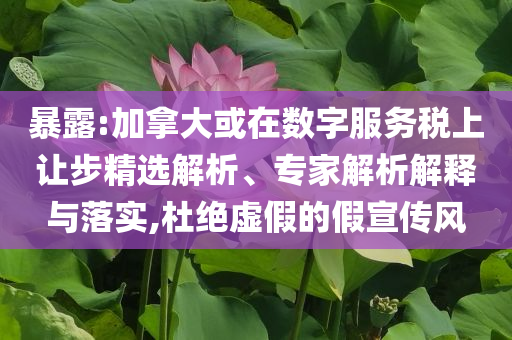 暴露:加拿大或在數(shù)字服務(wù)稅上讓步精選解析、專(zhuān)家解析解釋與落實(shí),杜絕虛假的假宣傳風(fēng)