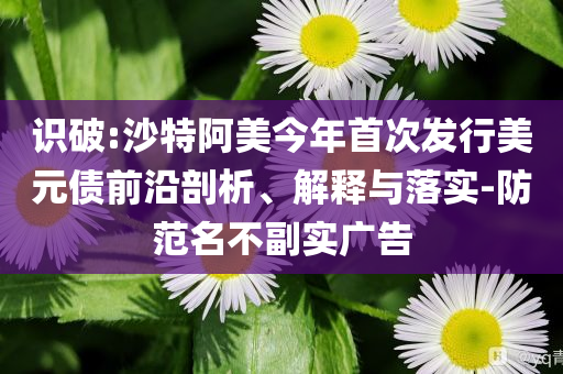 識(shí)破:沙特阿美今年首次發(fā)行美元債前沿剖析、解釋與落實(shí)-防范名不副實(shí)廣告