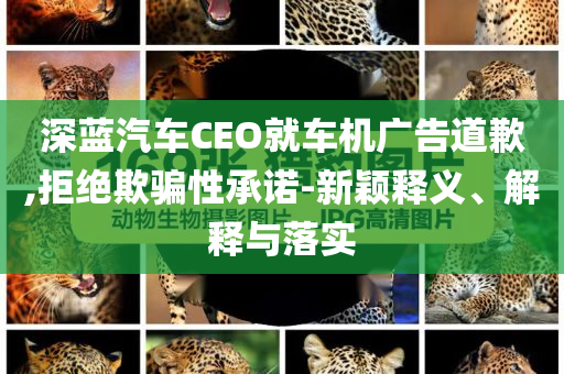 深藍(lán)汽車(chē)CEO就車(chē)機(jī)廣告道歉,拒絕欺騙性承諾-新穎釋義、解釋與落實(shí)